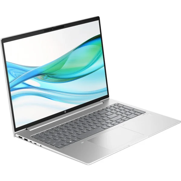HP ProBook 460 G11 (D05CVES), Notebook (silber, Intel® Core™ Ultra 7 155H, Intel® Graphics, 16 GB DDR5, 512 GB (512 GB SSD), Windows 11 Pro)