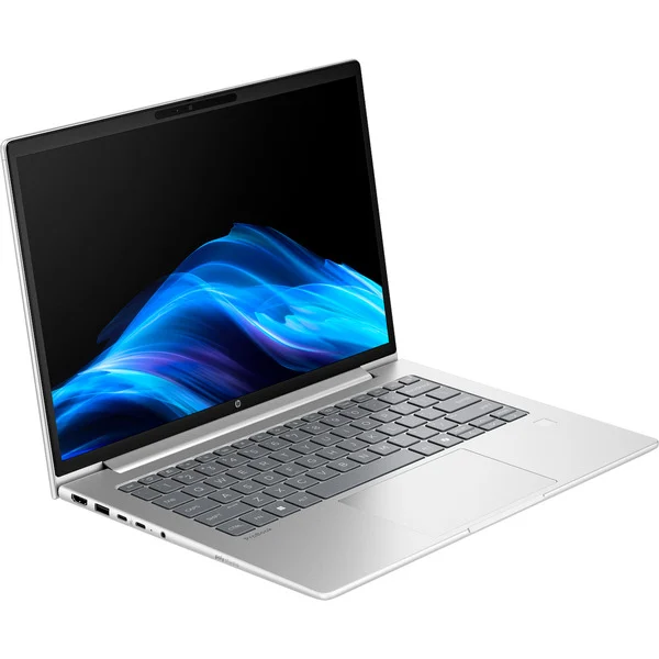 HP ProBook 4 G1a (C07P1ES), Notebook (silber, AMD Ryzen 5 230, AMD Radeon 760M, 16 GB DDR5, 512 GB (512 GB SSD), ohne Betriebssystem)
